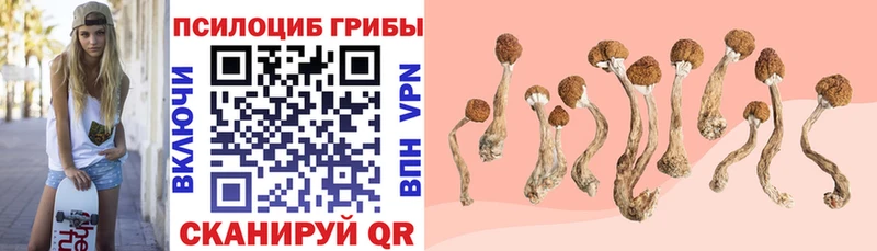 Псилоцибиновые грибы ЛСД  Тамбов 